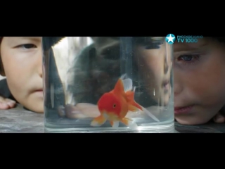 new movie will make us all think goldfish