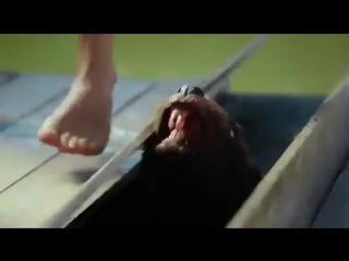 beavers are mutants. horror. more videos in the group.